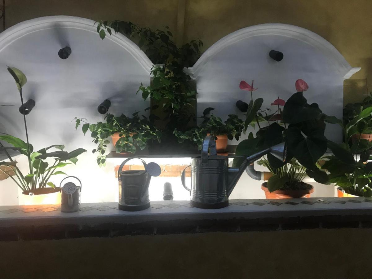 Hotel Boutique Casa Jose Coban Ngoại thất bức ảnh